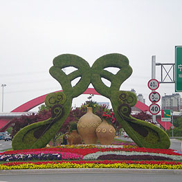景點擺蘤(hua) 4