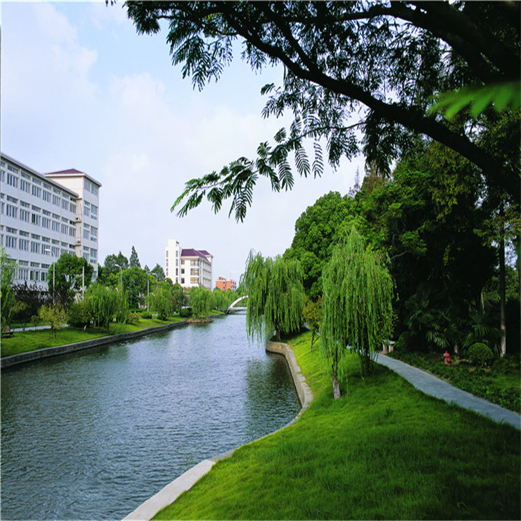綠(lv)化施工(gong) 18