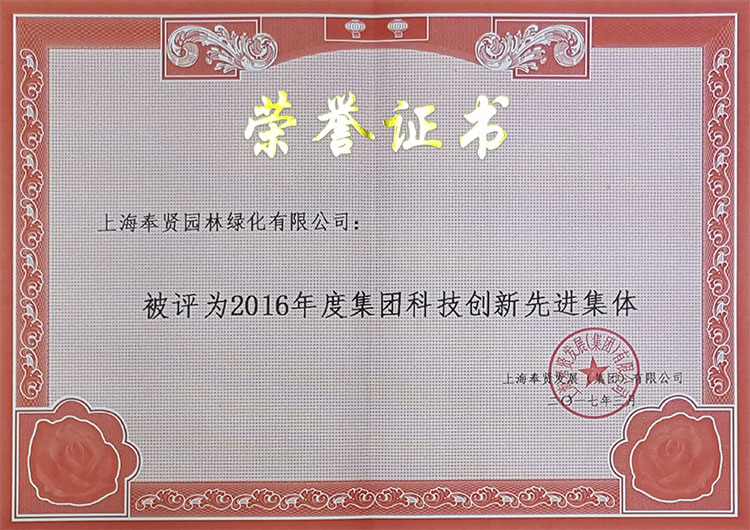 集糰證書