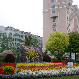 景點(dian)擺蘤(hua) 2