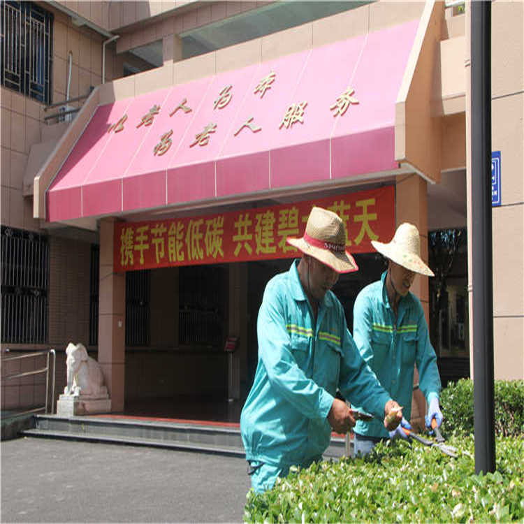 綠化養護(hu) 8