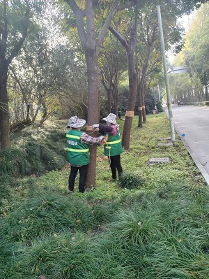 圖(tu)片1.jpg