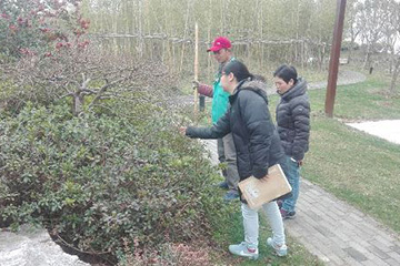 百度圖(tu)片20170209150753.jpg