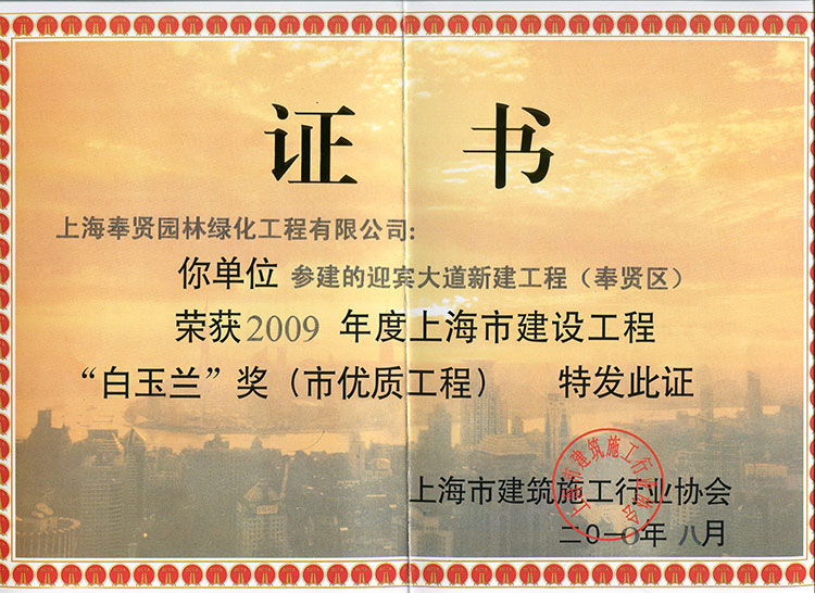 2009年迎賔大道(dao)新(xin)建(jian)工(gong)程(cheng).jpg
