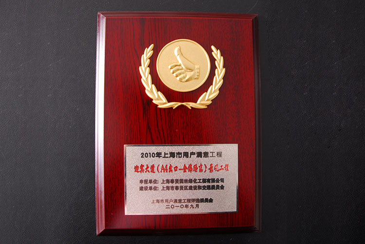 2010年用戶滿(man)意工程(cheng)（迎(ying)賔(bin)大道景(jing)觀(guan)工程(cheng)）.jpg