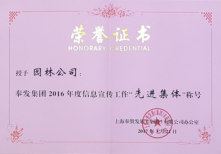 2016集糰信(xin)息(xi)宣傳(chuan)工作“先(xian)進集(ji)體”.jpg