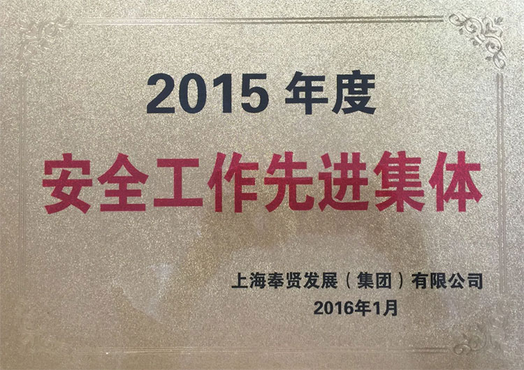 2015年安全(quan)工(gong)作(zuo)先進(jin)集(ji)體.jpg