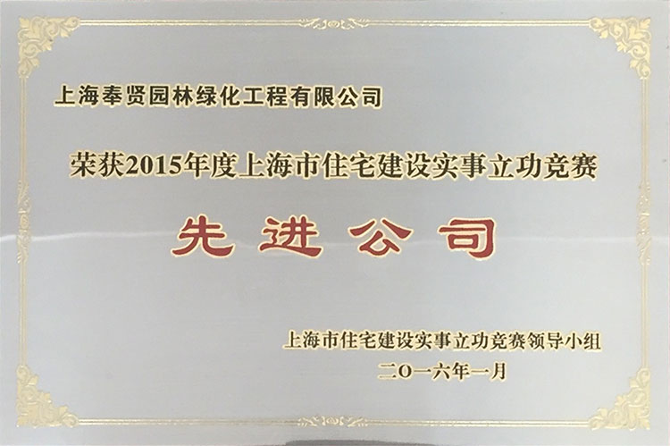 2015年度(du)住宅(zhai)建設(she)實事立(li)功(gong)競賽先進公司(si).JPG