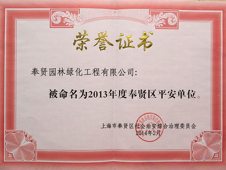 2013年度(du)奉賢(xian)區(qu)平(ping)安(an)單位.JPG