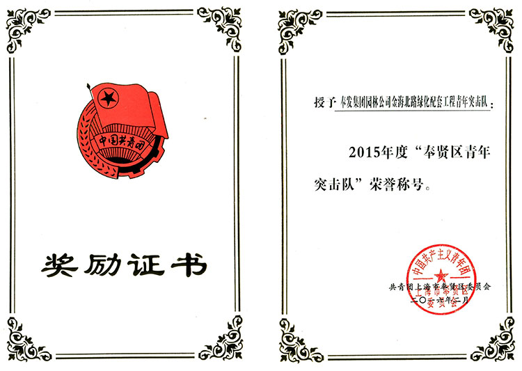 2015年度(du)“奉(feng)賢區青(qing)年突擊隊”.jpg