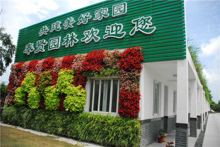 苗(miao)木基地(di).JPG