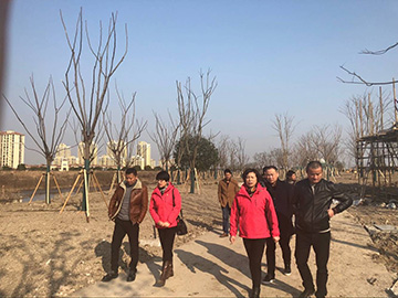 百度圖(tu)片20180206135211.jpg
