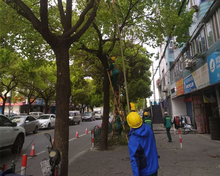 百度圖(tu)片20180419084501.jpg