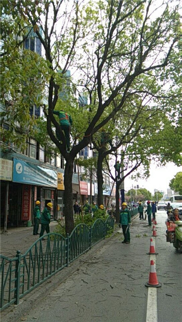 百度圖(tu)片20180419084506.jpg