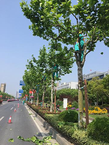 微(wei)信圖(tu)片_20180517134639.jpg