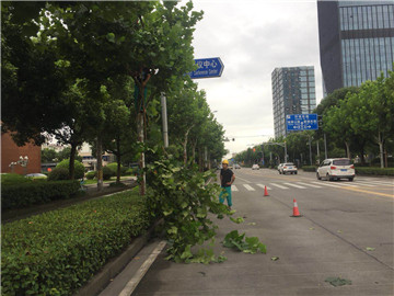 百度圖片20180723162207.jpg