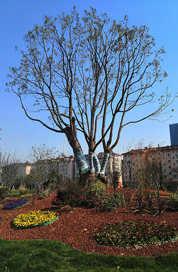 百度圖(tu)片(pian)20190417132048.jpg