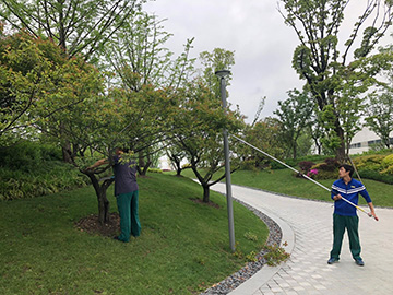 微(wei)信圖(tu)片(pian)_20190513111622.jpg