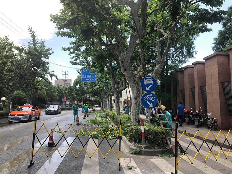 百度圖(tu)片_20190522155008.jpg