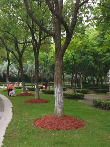 微(wei)信(xin)圖片(pian)_20190722150109.jpg