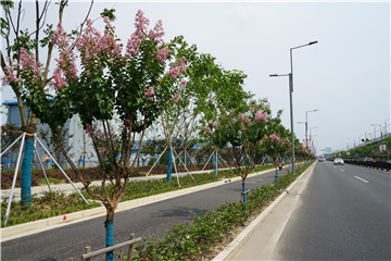 軌(gui)交五號線1.JPG