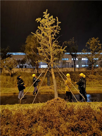 百度圖(tu)片20190812095128.jpg