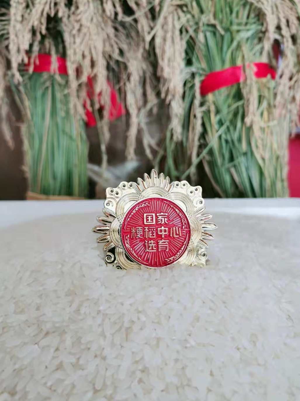 1634524129735675.jpg 8.jpg