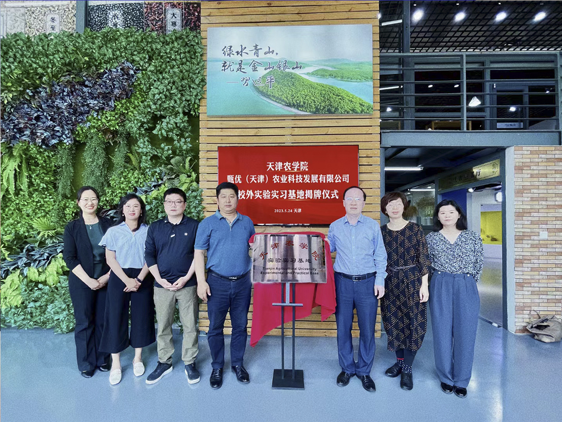 1684920413274379.jpg 4.jpg