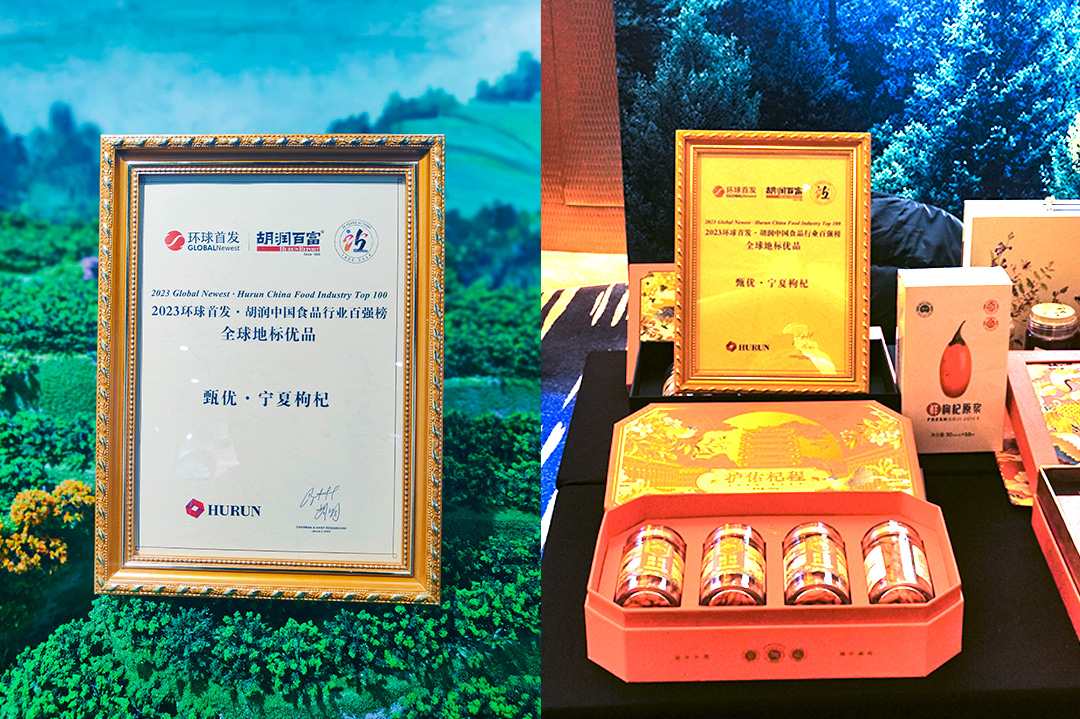 1706689137440445.jpg 06.jpg