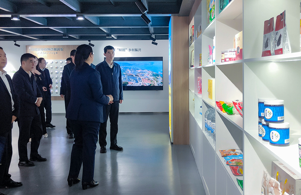 1744092145310345.jpg 4.jpg