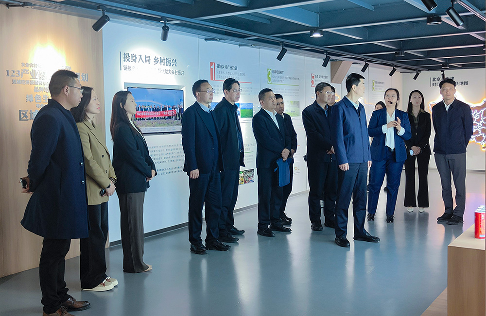 1744092172835037.jpg 7.jpg