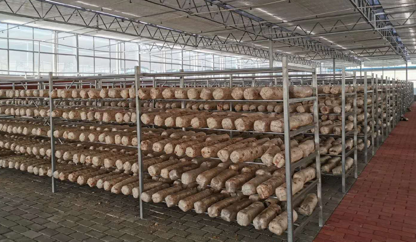 1586767128.jpg 未標題(ti)-3-02.jpg