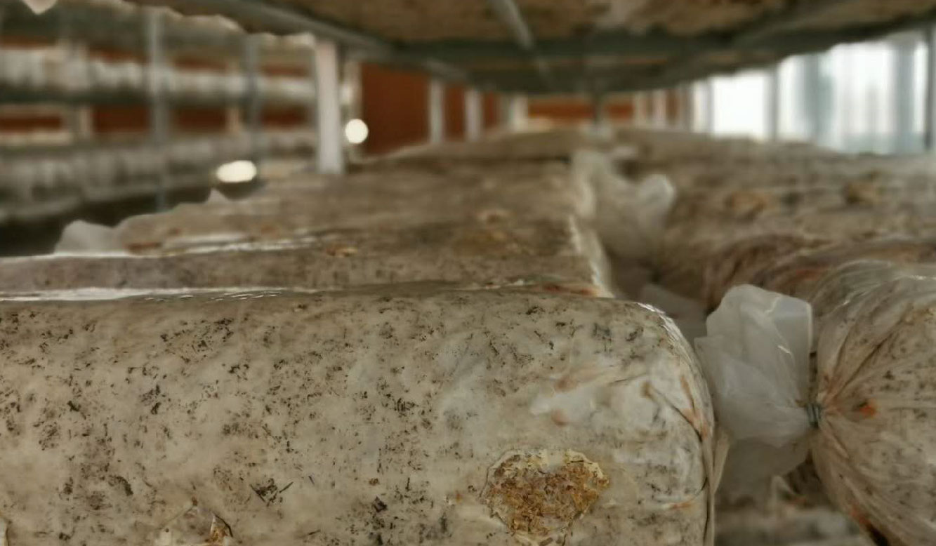 1586767134.jpg 未標(biao)題(ti)-3-03.jpg