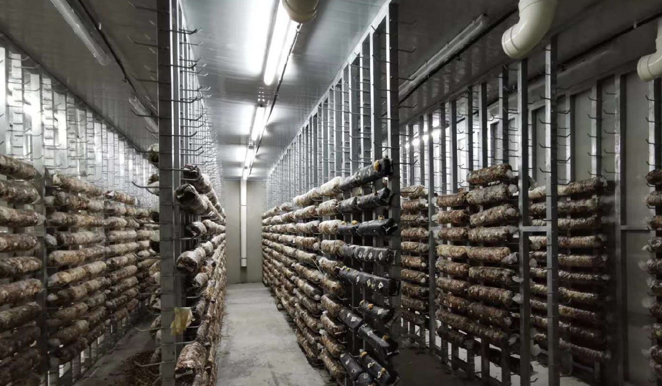 1586767144.jpg 未(wei)標題-3-05.jpg