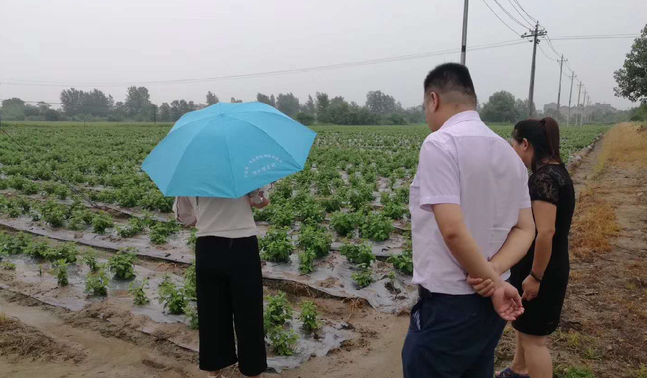 1586768742.jpg 未標(biao)題(ti)-6-02.jpg