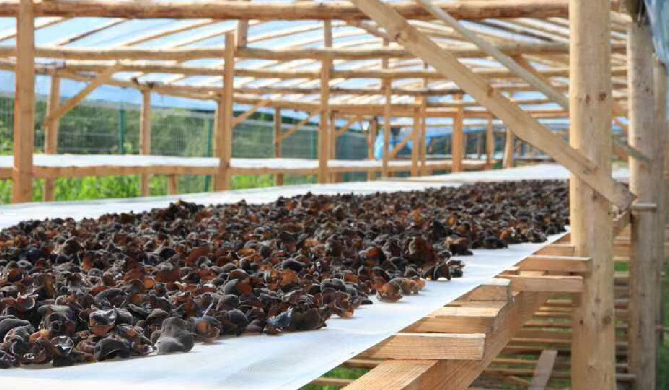 1586768758.jpg 未標題(ti)-6-05.jpg