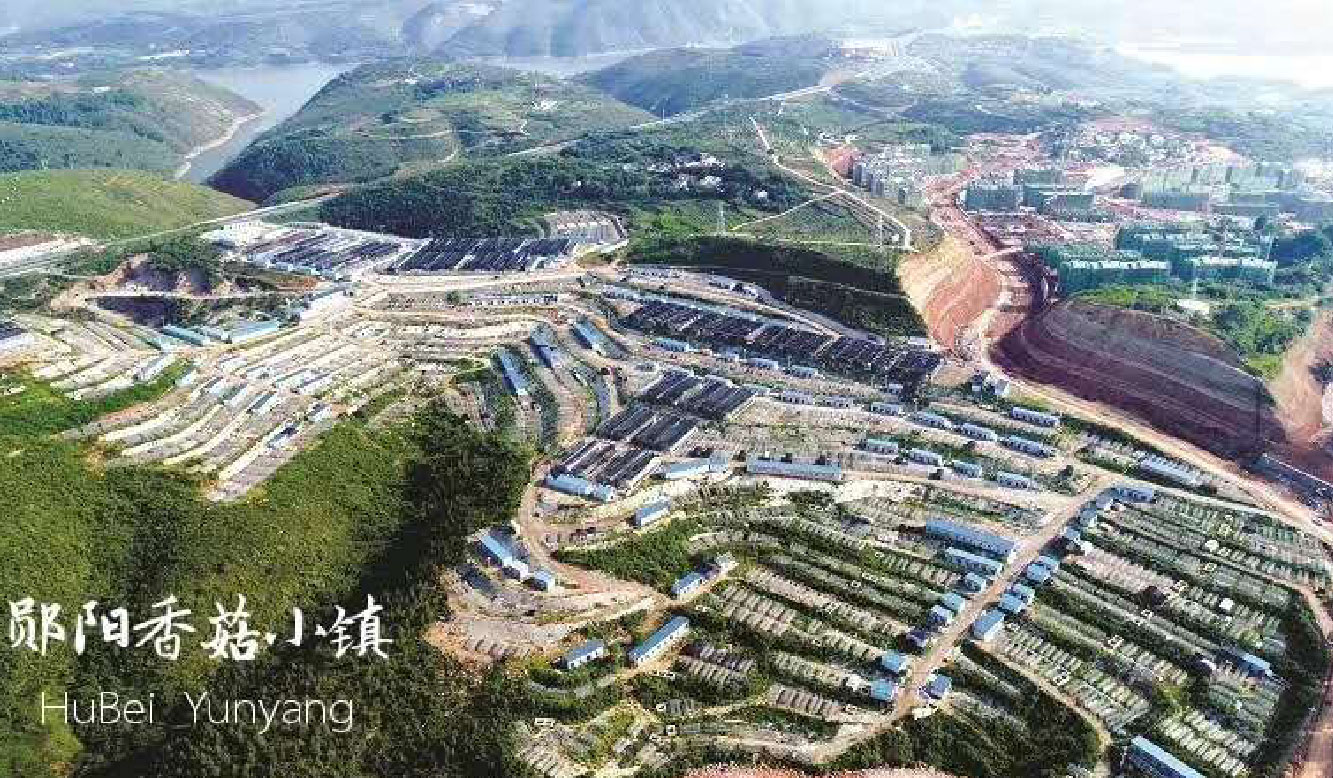 1586768763.jpg 未標(biao)題(ti)-6-06.jpg